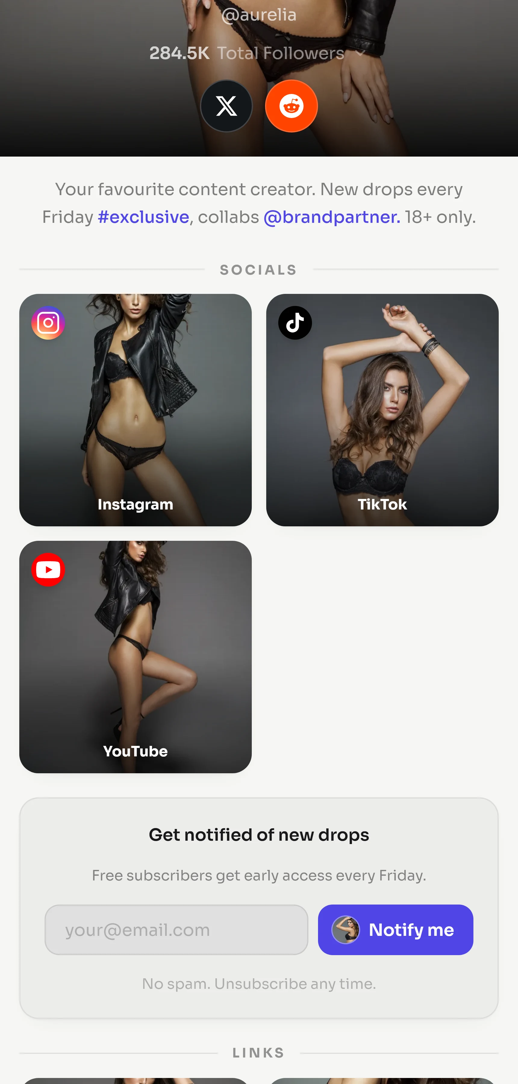 The No Links template on a light minimal theme, showing the profile and gallery with the link list hidden.
